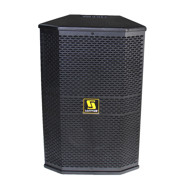 AT10 Single 10" Professional Indoor Audio Speaker